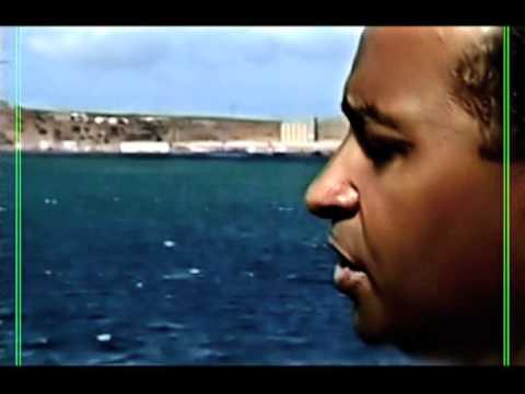 Leonel Almeida - Ninho maguado