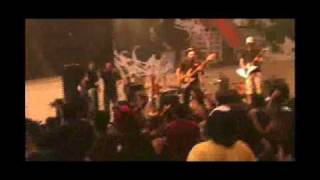 Los Rabanes - la pastilla del amor