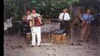 preview picture of video 'Formatia Montana din Buzau sarba acordeon'