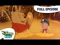 Sham Pooh Rock A Bye Pooh Bear The New Adventures Of Winnie The Pooh S3 E2 Disneykids