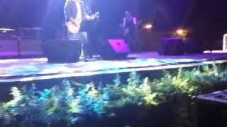 Malvarrosa Affaire Revolver Tomelloso (25 8 2014)