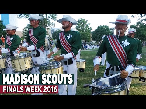 MADISON SCOUTS 2016 - In the Lot / FINALS WEEK [60fps]