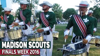 MADISON SCOUTS 2016 - In the Lot / FINALS WEEK [60fps]