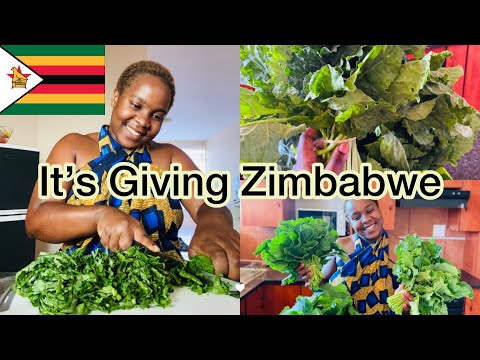 Zimbabwe’s Main Dish/Relish🇿🇼| How to Prepare COVO /RAPE/ MURIWO (The Green Vegetables)