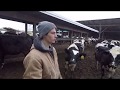 A day on my family dairy farm