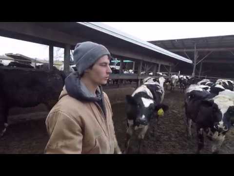 download lagu mp3 mp4 I Work On A Farm, download lagu I Work On A Farm gratis, unduh video klip I Work On A Farm