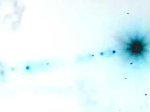 David Shea - Kristi Monfries video -  Meditations