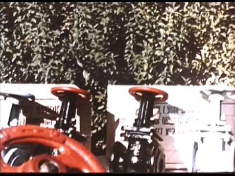 Dokumentation "Tadschikische SSR (Таджикская ССР)"