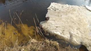 Рыбалка на реке кубря ярославская обл