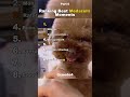 Best Medazelli Ranking Medazelli Tiktok