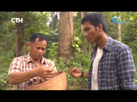 Homeopathy แรงสูง การผ่าตัด uvilichenie อวัยวะเพศชาย