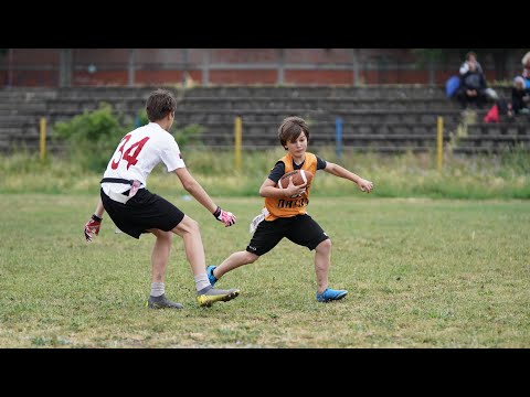 Pionirska Liga Srbije