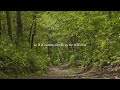 Jimmy Clifton - You Are Special (Lyric Video)