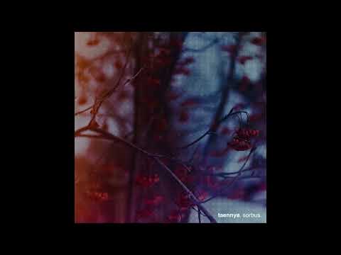 Taennya - Sorbus (2023)