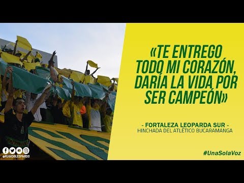 Hoy auriverde hay que ganar - Fortaleza Leoparda Sur | Letra