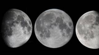 Paolo Conte, Luna di marmellata