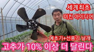 고추 10%더 달리게 