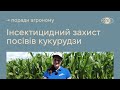 Траверс — інсектицид для захисту яблуні