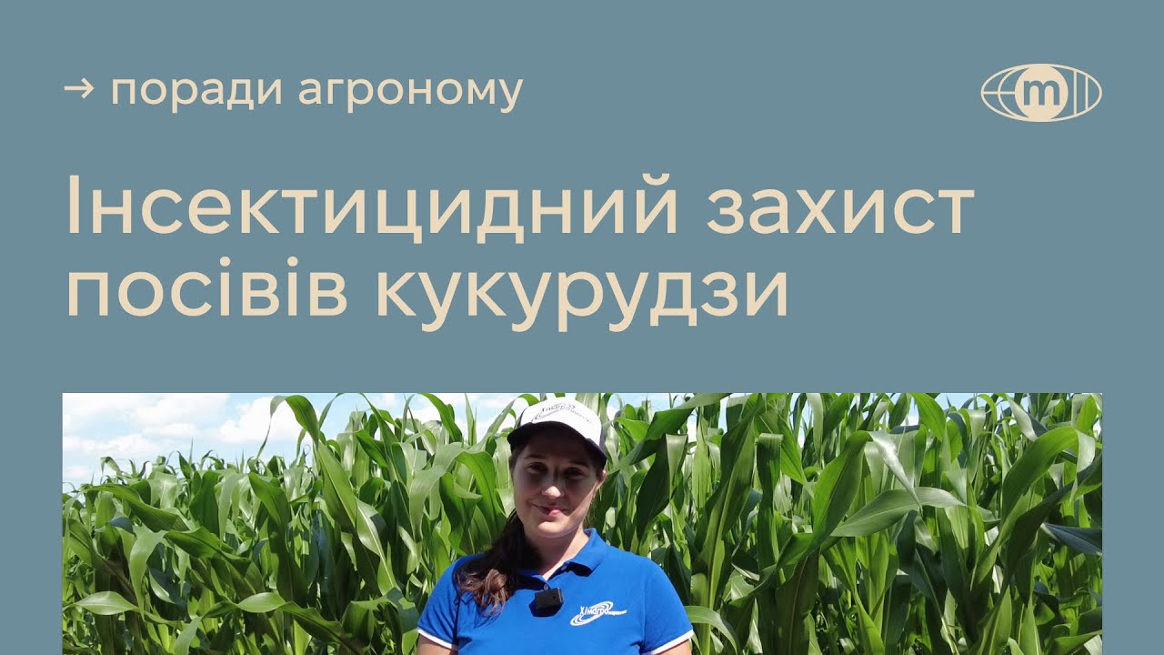 Траверс — інсектицид для захисту яблуні