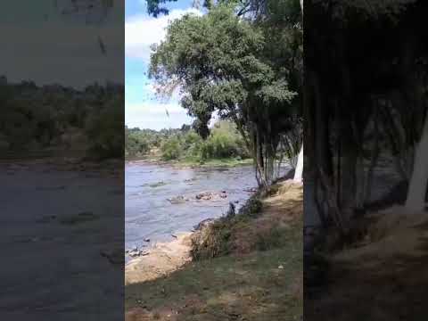 Rio em Porto Amazonas Paraná #portoamazonasparana #riosbelezadanatureza #turismoparana
