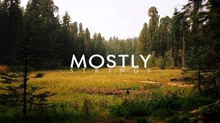 Avriel &amp; The Sequoias - Fields and Pier