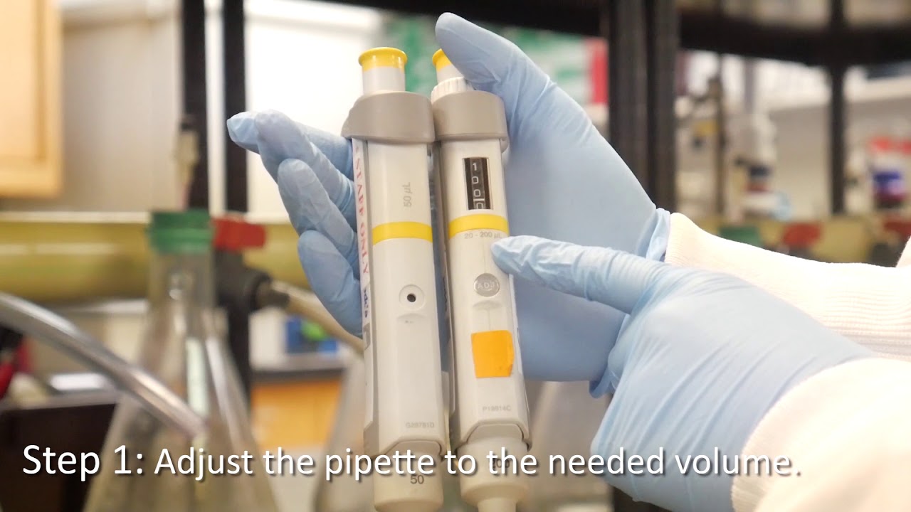 Water Sciences Laboratory Tutorial: Using a Micropipette