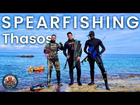🐙 Octopus Grabs My Leg Before I Even Dive! | Winter Spearfishing in Thasos Island 🇬🇷