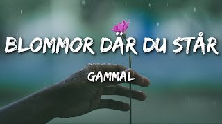 GAMMAL - Blommor där du står (Lyrics)