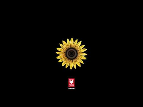 Vettor - Girassol Freestyle 🌻