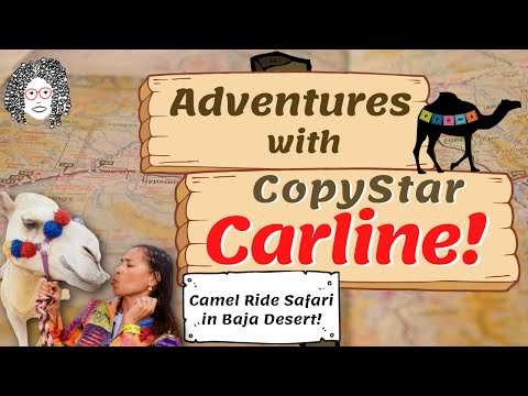 Camel Ride Safari in Baja Desert! Camel Kisses! Copywriting Adventures! #shorts