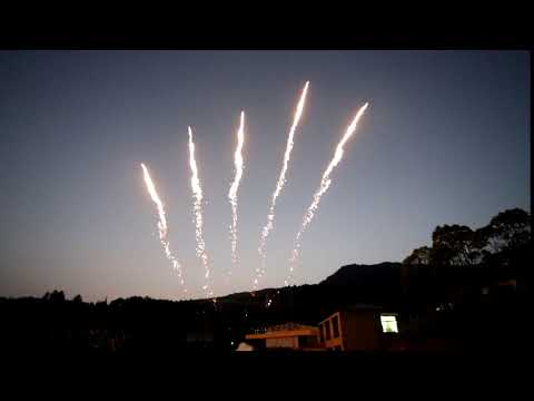 ROW2019002 5 shots single row silver tail to red palm with chrysanthemums