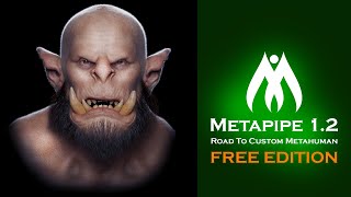 Free Workflow: Modifications| Road to Custom Metahuman