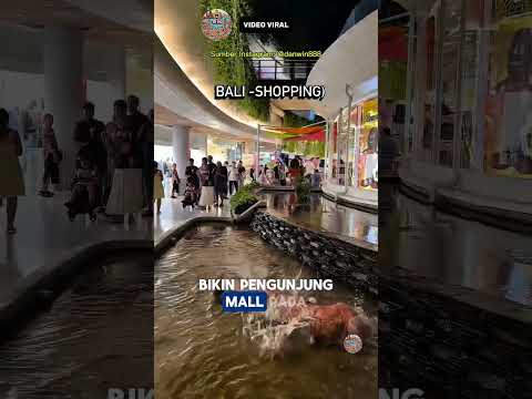 BUSET DAH! BULE BANYAK TINGKAH SALTO DI KOLAM MALL! #shorts