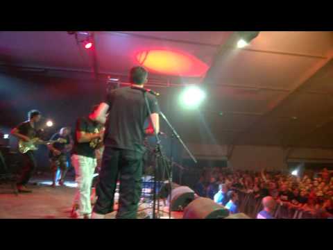 Dzioło "Zamyślone głowy" Live, Pokojowa Wioska Kryszny, Przystanek Woodstock 2015