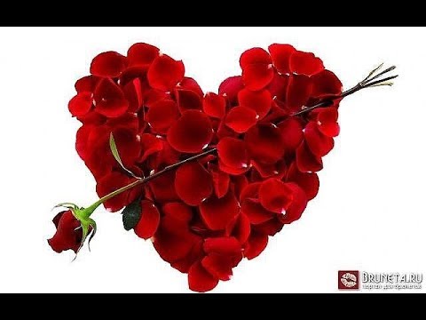 Abada - (Парто калитора 2)