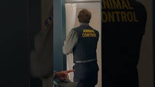 show video image in three sizes