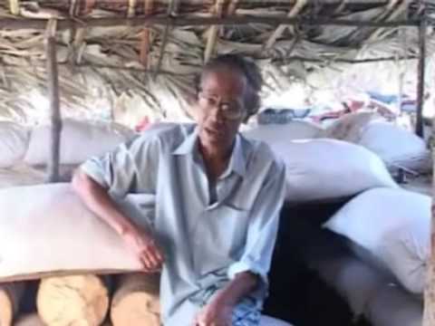 Mr Sothinathan tells about the situation in wanni part 01