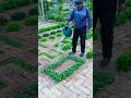 Super Gardening Satisfying Short