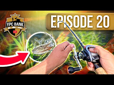 UNBELIEVABLE! Is THIS the smartest pike in Holland? | YPC Bank 2025 Episode 20