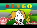 BINGO More Baby Genius Music Videos For Kids
