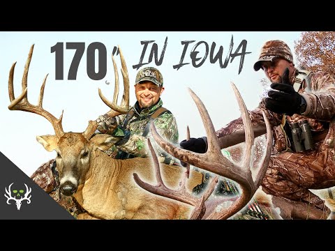 BEAST OF THE MIDWEST! Waddell's Biggest 10 Pointer & Judo Chop