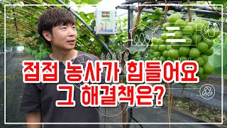 스마트팜으로 힘든 농사 편하게 하는 10가지 방법를 청년농부에게 물어 봤어요 영동에서 샤인마스켓 스마트팜으로…