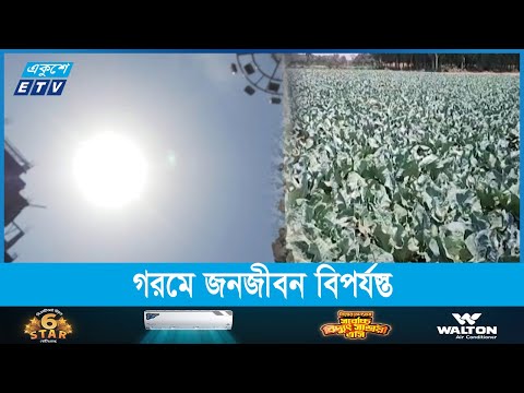 সারাদেশে তীব্র তাপদাহে পুড়ে যাচ্ছে ফসলের ক্ষেত