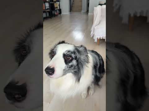 Videoyu bilerek kesmeden editlemeden paylaşıyorum :) Buyrunuz 🤫