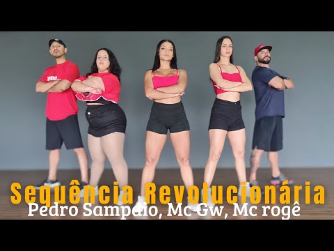 Sequência Revolucionária - Pedro Sampaio - Coreografia | Mexe mais