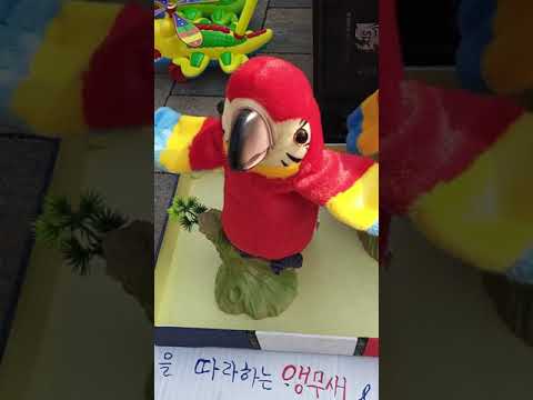 아이콘