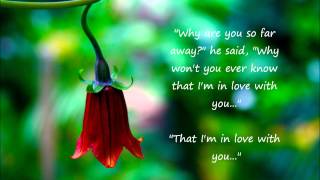 Katie Melua - Just Like Heaven (Lyrics)