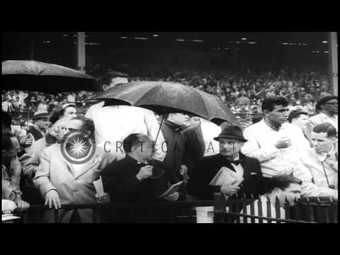 Long shot Race horse, Sherluck, wins Belmont Stakes with the highest payout recor...HD Stock Footage