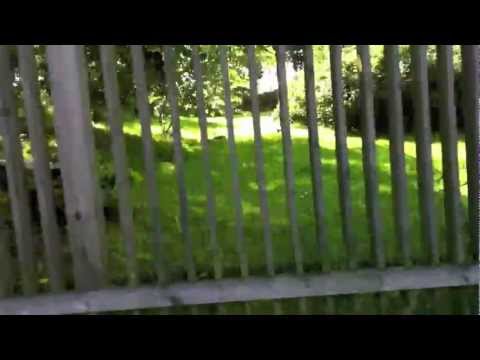 Åkerhjelm - Trots allt