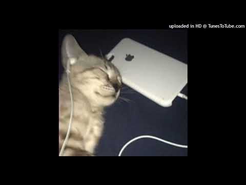 *FREE FOR PROFIT* MAYOT x LOVV66 x YUNGWAY x FENDIGLOCK Type Beat -  sea ​​breeze (prod.spookyjoint)